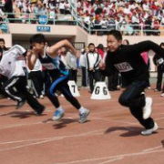 嘉峪關(guān)體育運動學校圖片