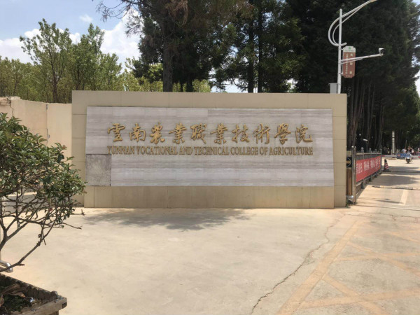 云南農(nóng)業(yè)職業(yè)技術(shù)學(xué)院2020年五年一貫制大專(zhuān)招生簡(jiǎn)章