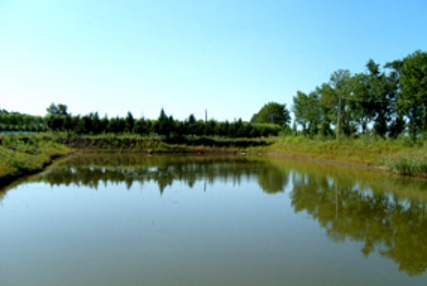 黑龍江農(nóng)墾機(jī)械化學(xué)校環(huán)境、學(xué)校圖片