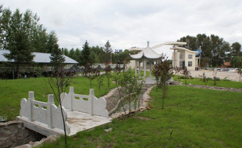 龍江縣職業(yè)技術教育中心學校好不好、怎么樣