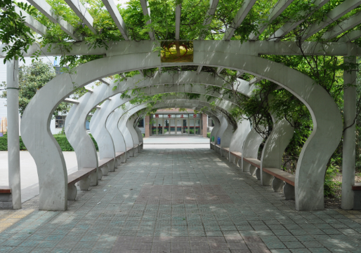 淮北衛(wèi)生學(xué)校環(huán)境圖