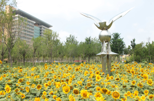 日照市衛(wèi)生學校