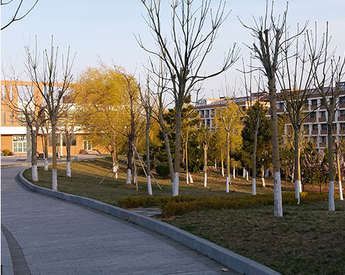 東營市河口區(qū)職業(yè)中等專業(yè)學校