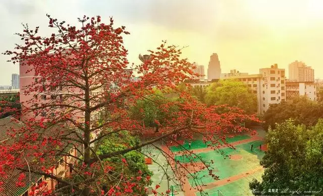 廣東省商業(yè)職業(yè)技術(shù)學(xué)校學(xué)費(fèi)多少、學(xué)校收費(fèi)標(biāo)準(zhǔn)