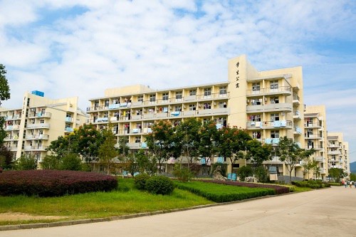 遵義市美術(shù)學校有哪些要求