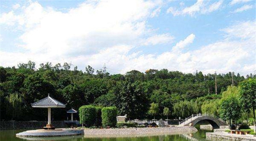 四川省攀枝花衛(wèi)生學(xué)校圖片、照片