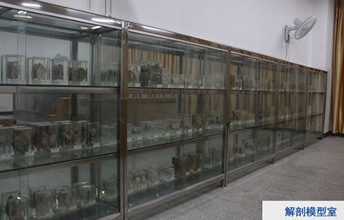 重慶醫(yī)藥學(xué)校（長壽衛(wèi)校）解剖模型室