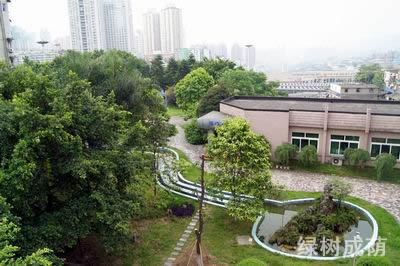 重慶機電工程技工學校綠樹成蔭