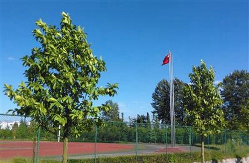 內(nèi)江鐵路機(jī)械學(xué)校成都校區(qū)（郫縣安德鎮(zhèn)）運(yùn)動(dòng)場(chǎng)一角