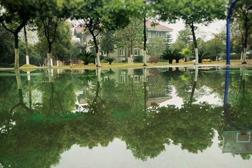 樂山市計算機學(xué)校校園環(huán)境2