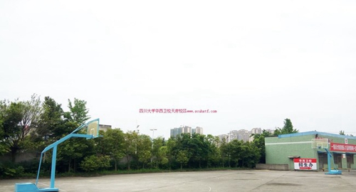 四川大學附設華西衛(wèi)生學校天府校區(qū)籃球場