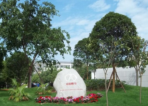 成都汽車職業(yè)技術學校（龍泉汽車學校）校園小草坪