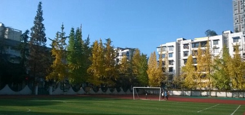 四川省崇州市職業(yè)中專學(xué)校蜀州路校區(qū)校足球場(chǎng)