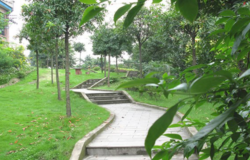 重慶市工業(yè)學(xué)校小道