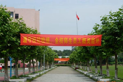 四川廣播電視中等專(zhuān)業(yè)學(xué)校林蔭大道