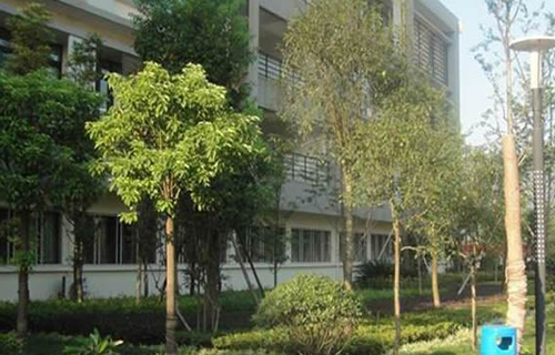 重慶商務(wù)學(xué)校校園綠樹