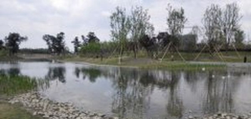成都天府職業(yè)技術學校公園