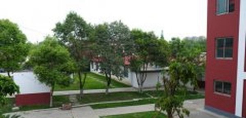 成都天府職業(yè)技術學校校園綠化