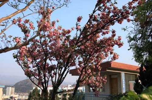 貴州盤江投資控股（集團）有限公司技工學校風景