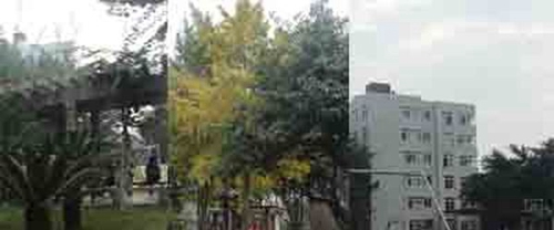 成都城市建設(shè)技工學校成建校校園一角