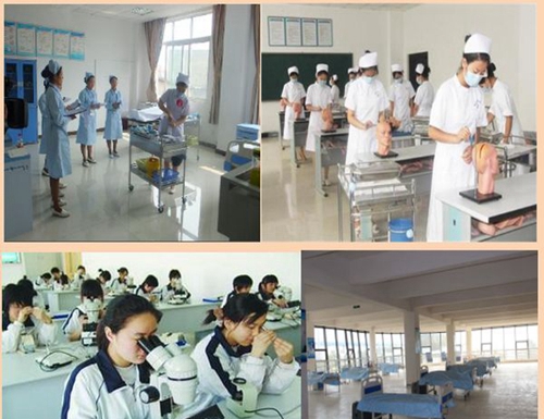 成都金沙職業(yè)技術學校老年服務與管理2