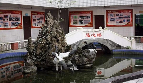 渠縣職業(yè)中專學(xué)校行政樓一景
