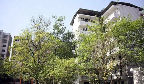 渠縣職業(yè)中專學(xué)校男生公寓樓