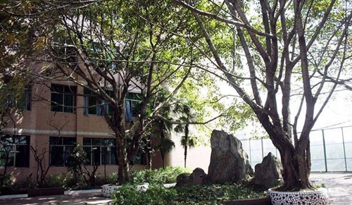 渠縣職業(yè)中專學(xué)校書(shū)山