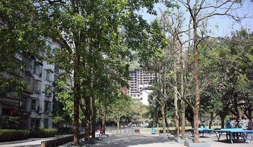 渠縣職業(yè)中專學(xué)校校園一景