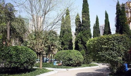 渠縣職業(yè)中專學(xué)校校園一景2