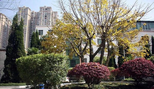 渠縣職業(yè)中專學(xué)校校園一景3