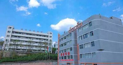 四川省華鎣職業(yè)技術學校校園一角