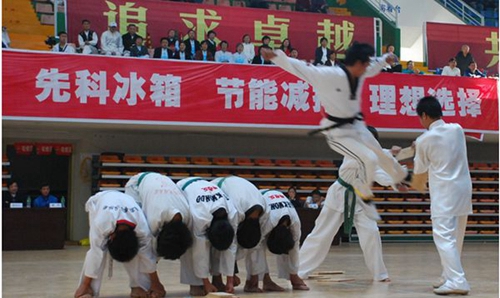 廣安市康泉文化武術(shù)學(xué)校跆拳道訓(xùn)練2
