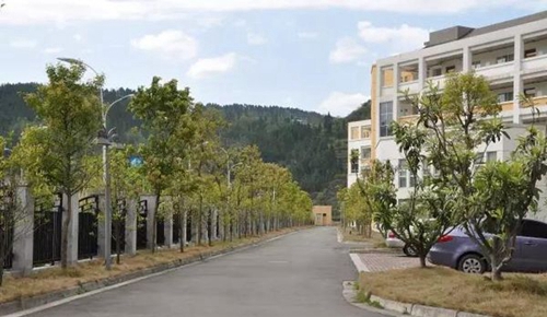 四川省青川縣職業(yè)高級(jí)中學(xué)校園干道