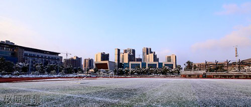 重慶水利電力職業(yè)技術學院校園雪景