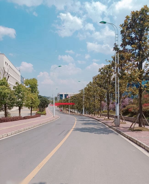 黔南民族醫(yī)學(xué)高等專科學(xué)校校園干道