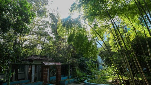 遵義職業(yè)技術(shù)學(xué)院綠樹成蔭