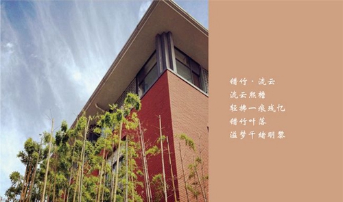 成都七中校園翠竹