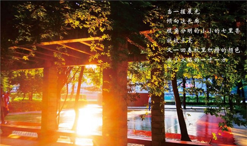 成都七中校園光影