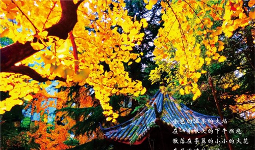 成都七中校園一角