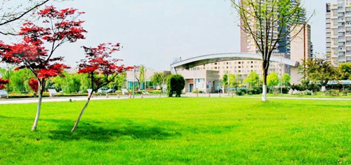 成都七中實(shí)驗(yàn)學(xué)校校門(mén)風(fēng)景
