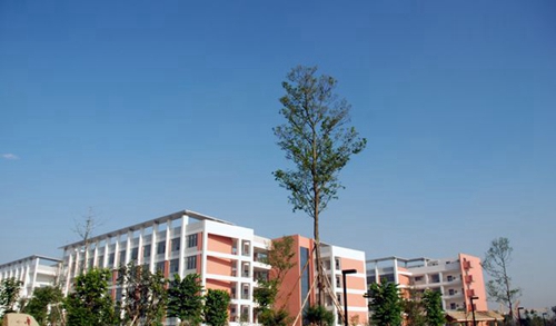 成都樹德中學(xué)光華校區(qū)教學(xué)樓4