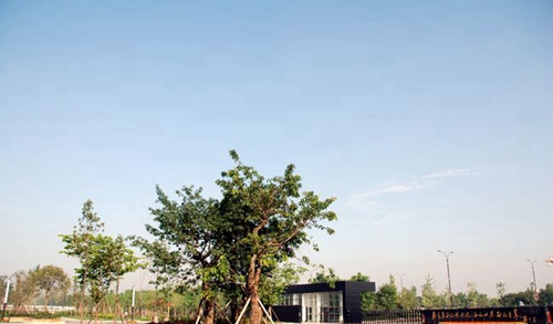 成都樹德中學(xué)光華校區(qū)校門廣場