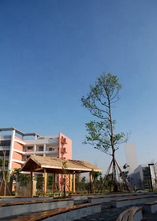 成都樹德中學(xué)光華校區(qū)校園風光