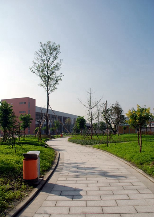 成都樹德中學(xué)光華校區(qū)校園小徑