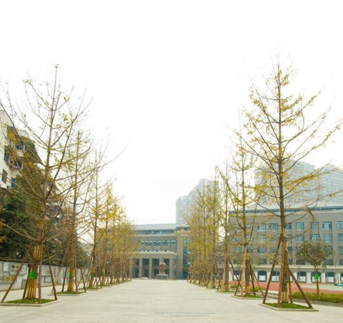 成都樹德中學(xué)校園行道