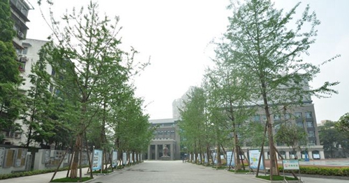 成都樹德中學(xué)銀杏大道
