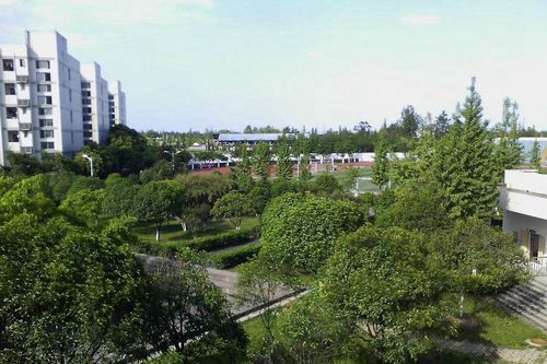 校園風(fēng)光1
