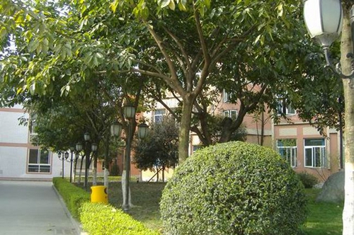 成都西川中學草坪