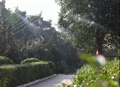 簡(jiǎn)陽市養(yǎng)馬中學(xué)校園小徑